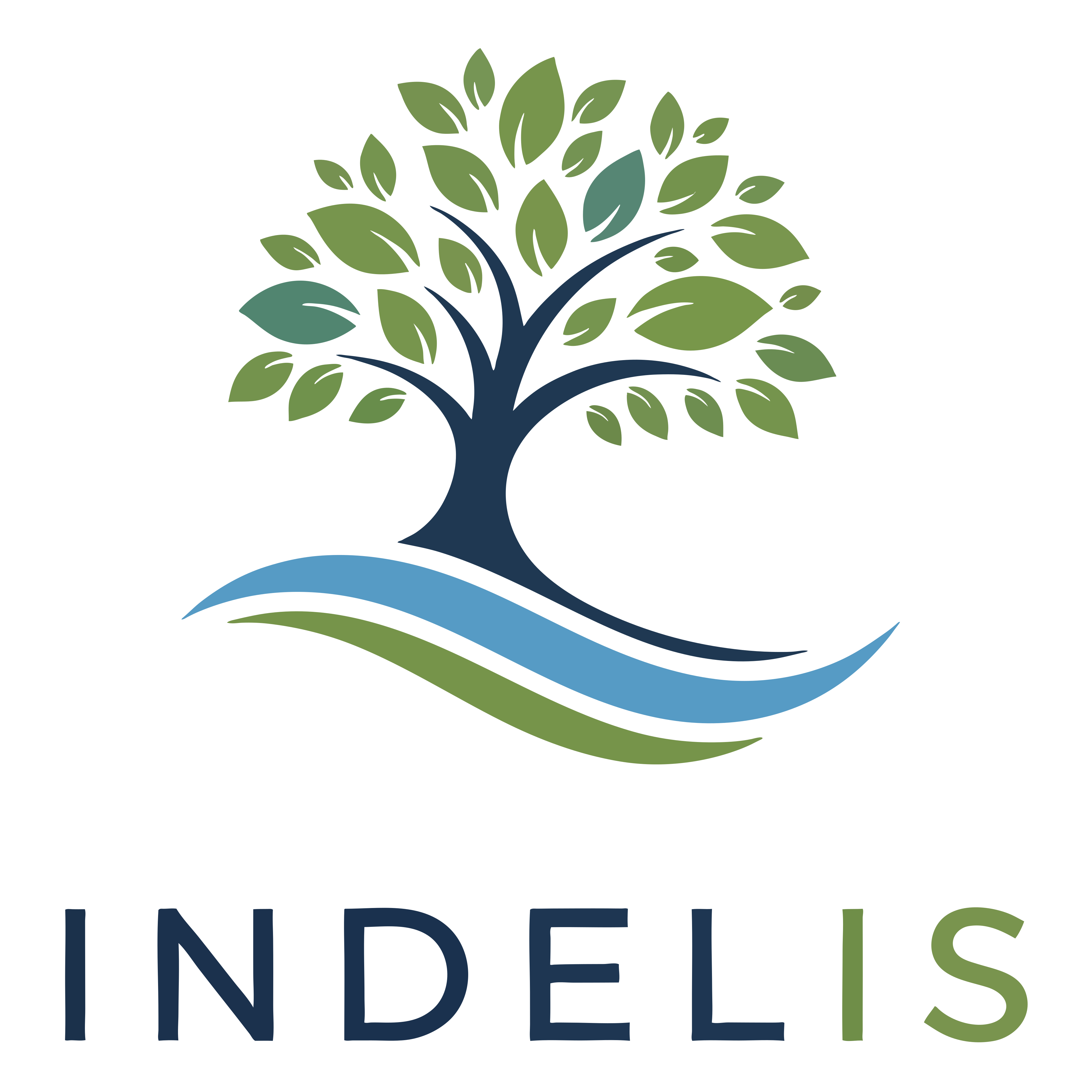 INDELIS